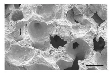 1485504429319396.png 1.png