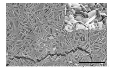 1485504454405632.png 3.png