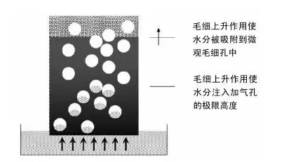 1485504470518101.png 4.png